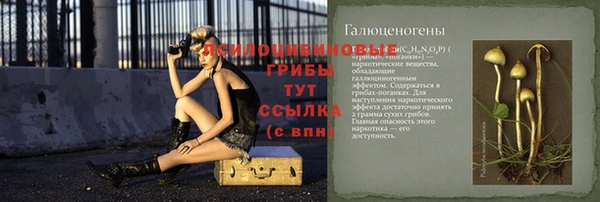герыч Арсеньев