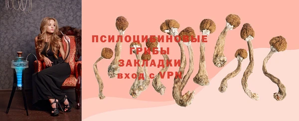 гидра Алексин