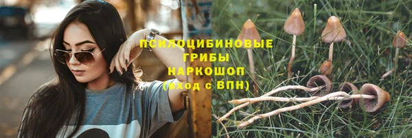 герыч Арсеньев