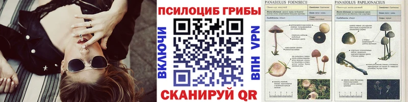 Псилоцибиновые грибы мухоморы  hydra как зайти  Безенчук  что такое наркотик 